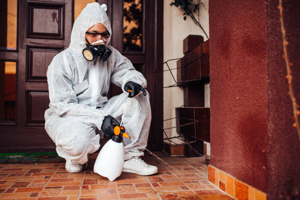 Attic and Crawl Space Rodent Treatment in Tokeneke