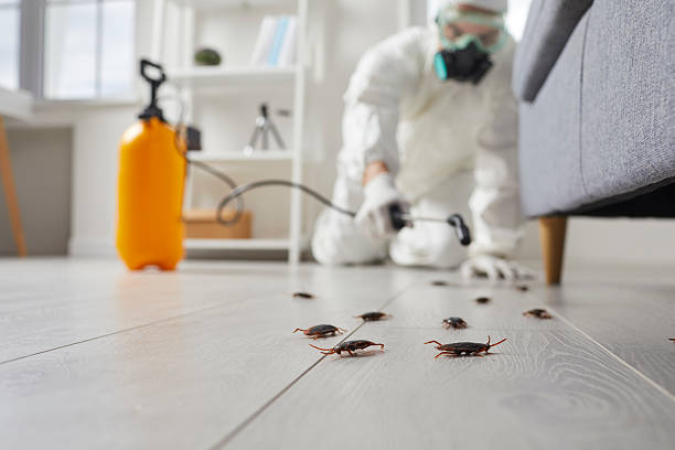 Commercial Rodent Management in Tokeneke